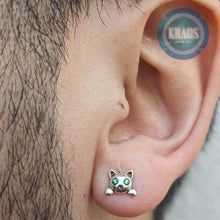 Cargar imagen en el visor de la galería, Gato Fosforescente