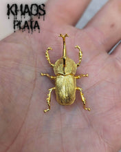 Cargar imagen en el visor de la galería, Escarabajo acabado en oro 18k