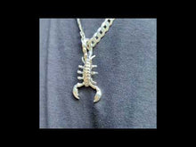 Cargar y reproducir el video en el visor de la galería, Escorpión