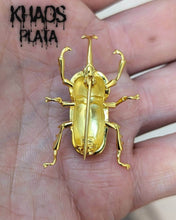 Cargar imagen en el visor de la galería, Escarabajo acabado en oro 18k
